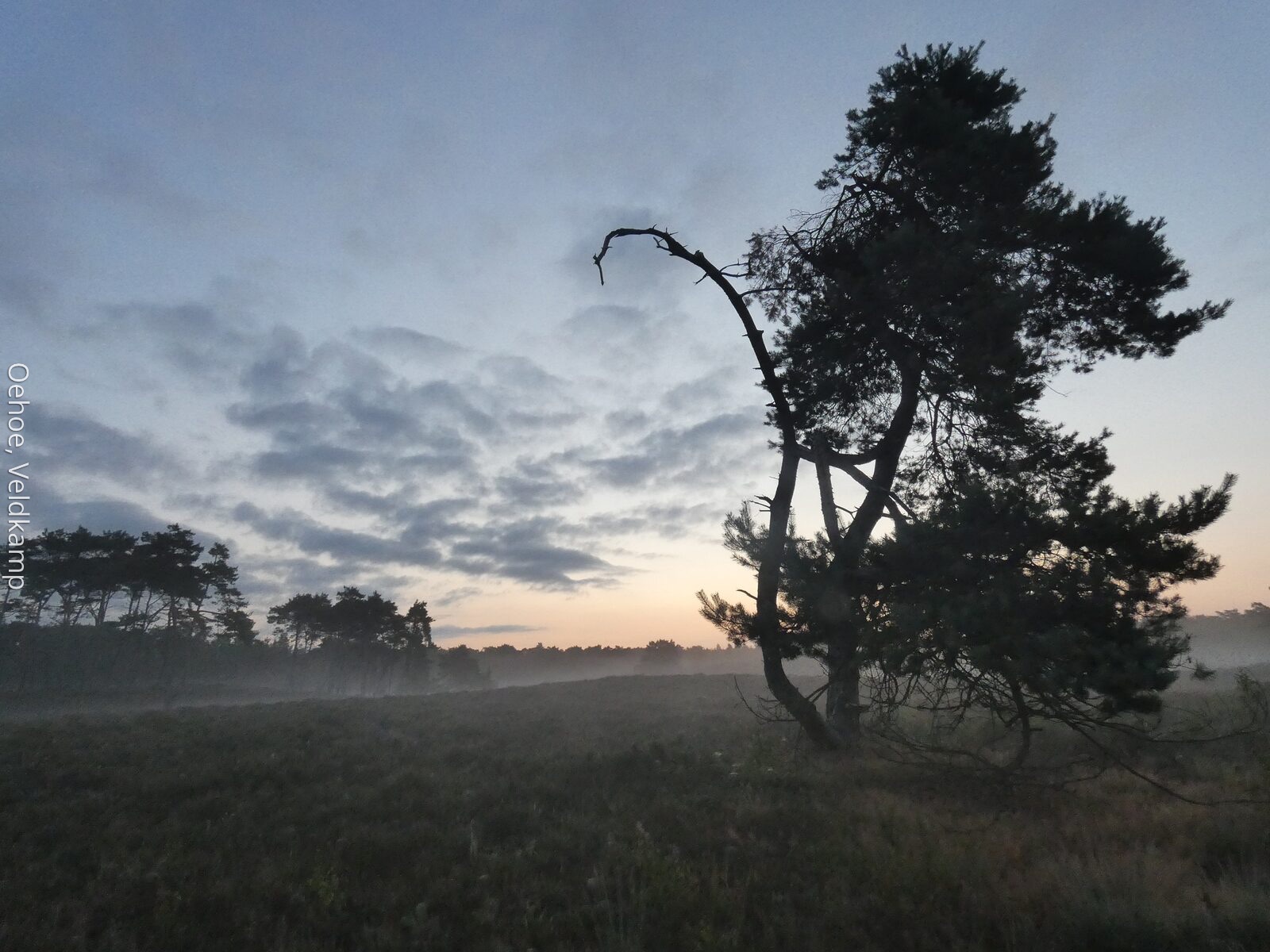 heide huisje Veluwe